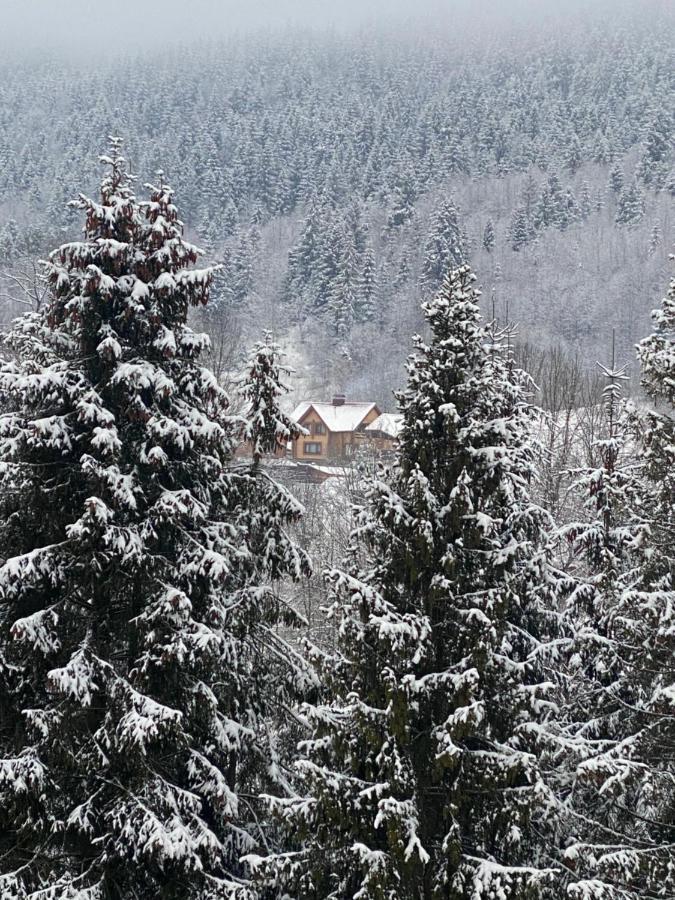 Шалe у Пилипці Chalet Pylypets Пилипець Екстер'єр фото