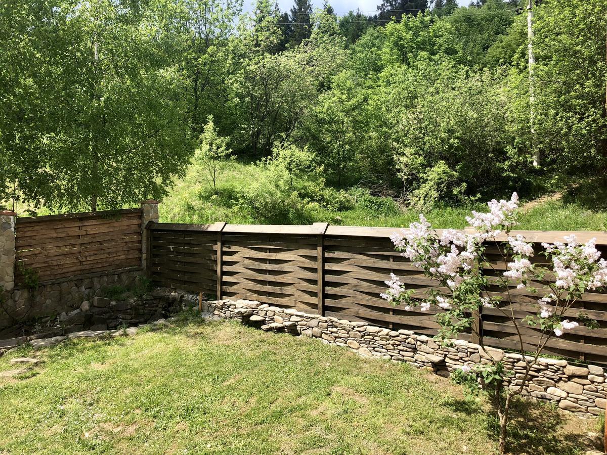 Шалe у Пилипці Chalet Pylypets Пилипець Екстер'єр фото
